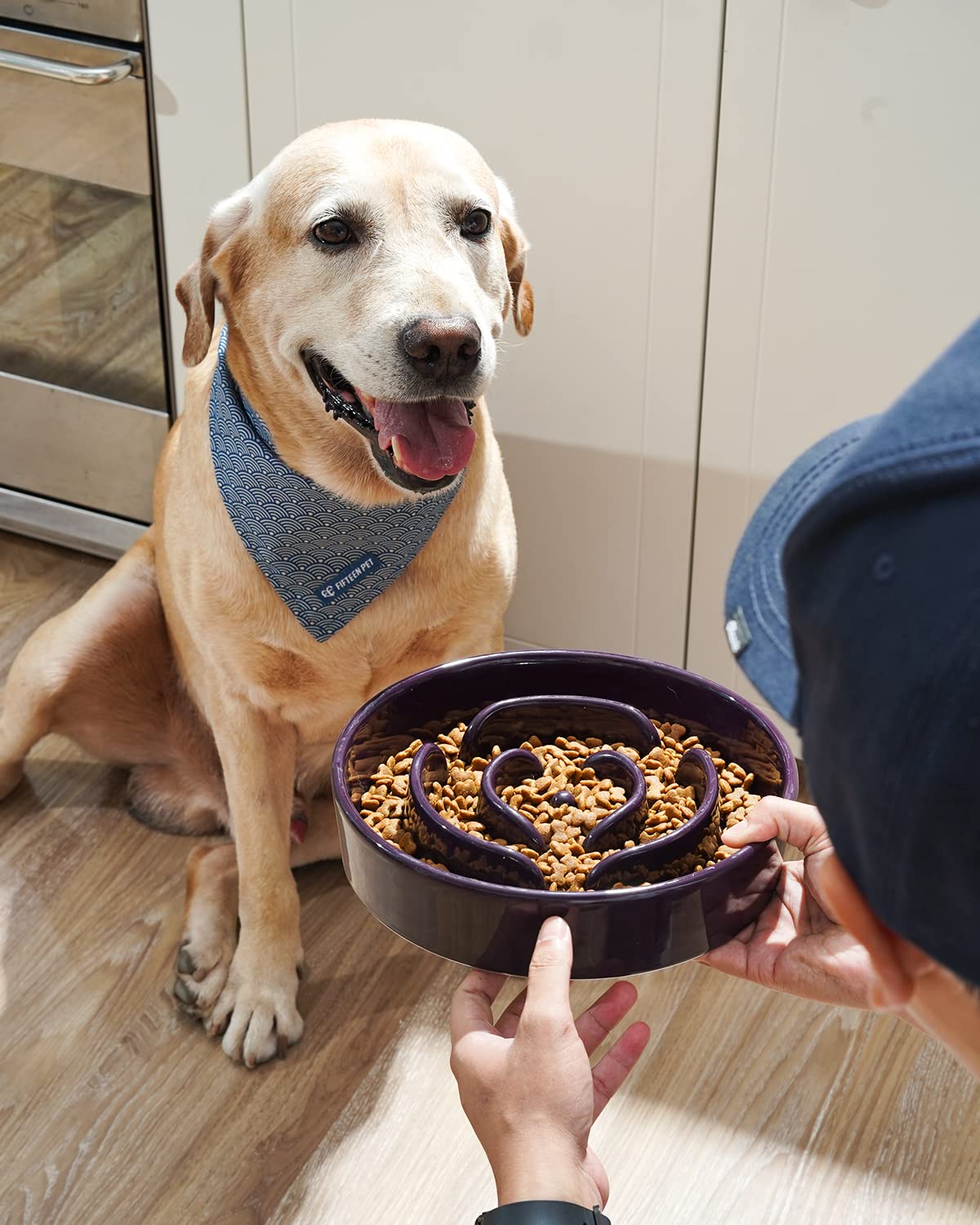 LE TAUCI Dog Slow Feeder Bowl Ceramic, 3 Cups Slow Feeding Dog Bowl Medium Large Breed, Maze Dog Bowl for Fast Eaters, Dog Dishes to Slow Down Eating, Puzzle Dog Food Bowl, Dog Maze Bowl, Maze Purple