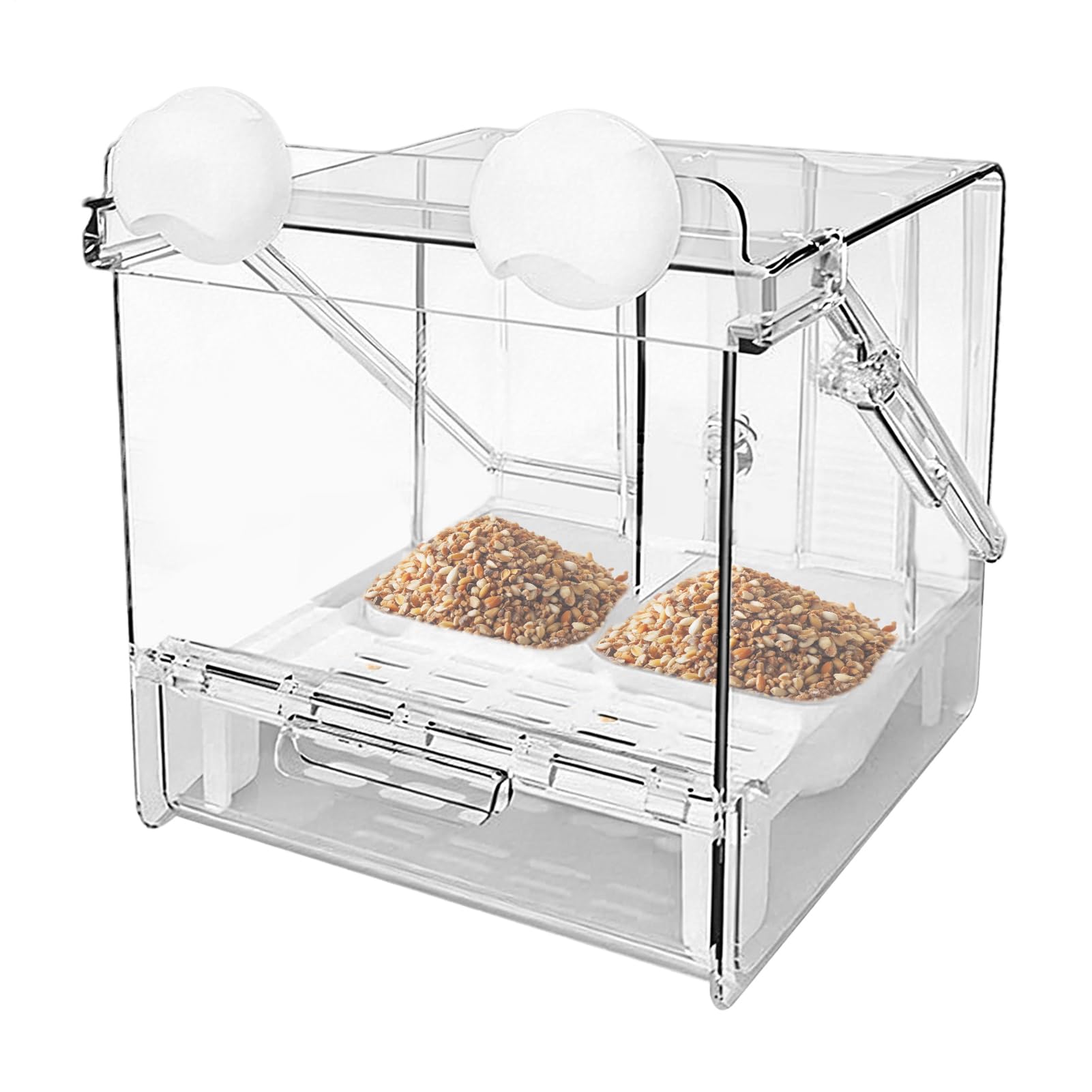 Bain pour oiseaux Transparente