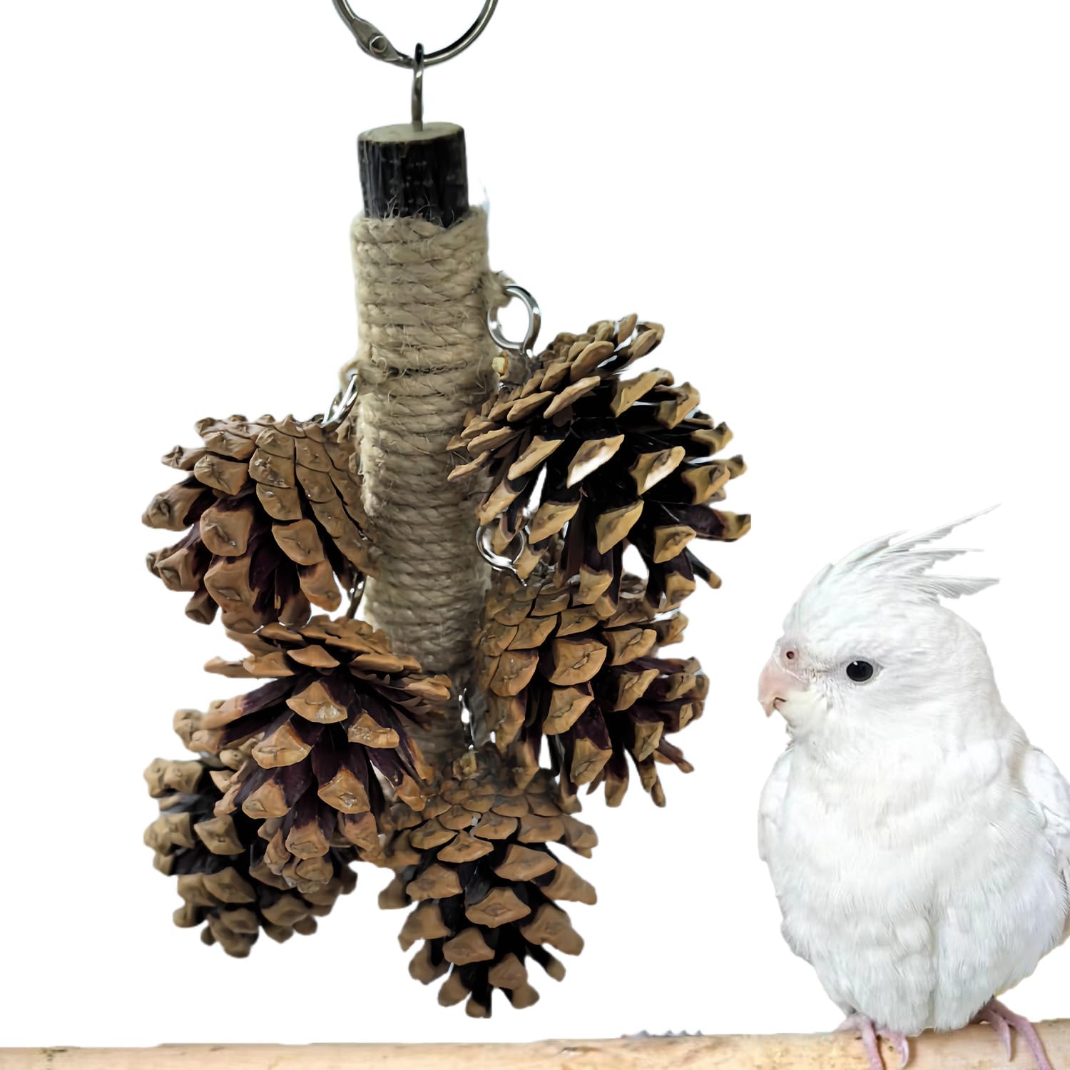 3PCS- Colourful Mini Ball Sand Hammer Parrot Rattle Shaker Musical Sound Toy Intelligent Sand Hammer Toys for Parakeets Canaries Cockatiels Conure Lovebirds(Random Color) — view 7