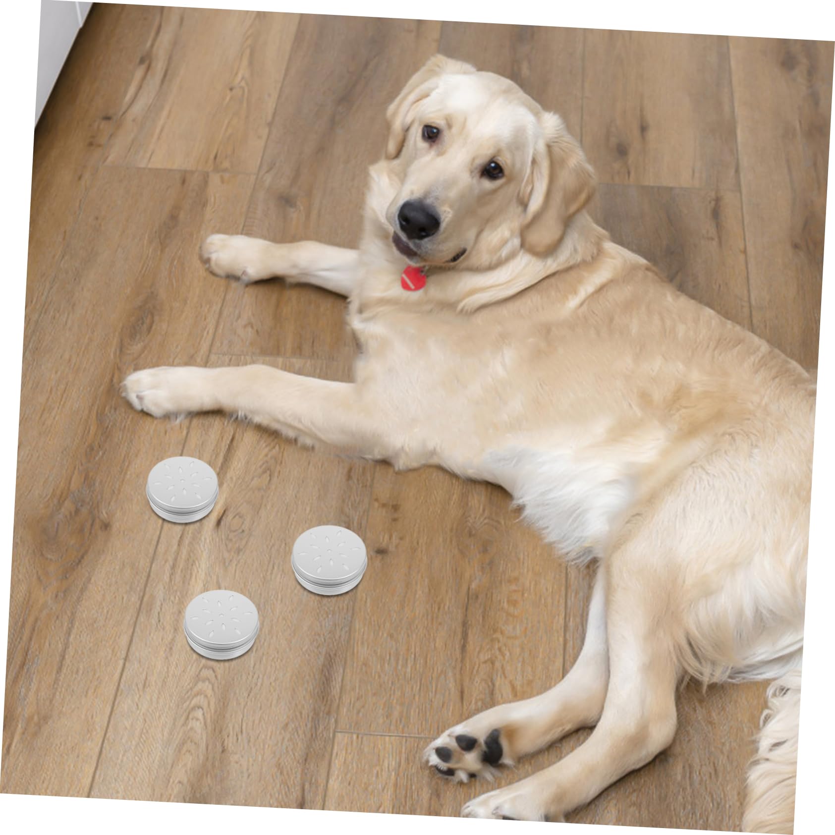 VICASKY 20 Pièces Boîtes De Dressage D'odeurs Pour Chiens En Aluminium