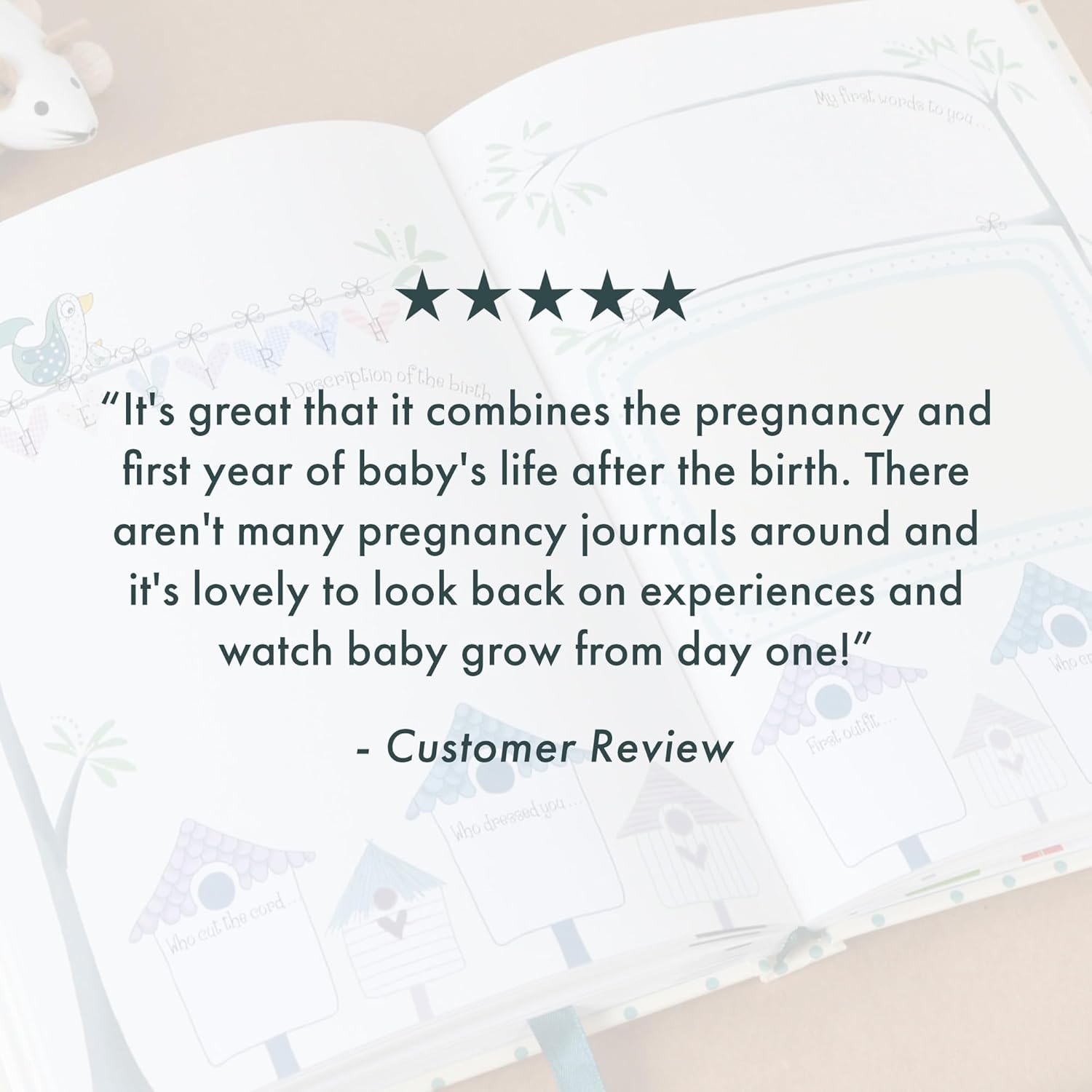 Bump To Birthday, a Pregnancy & First Year Journal: Full of week-by-week facts about the 'bump' with guided prompts to capture memories, feeling and events.