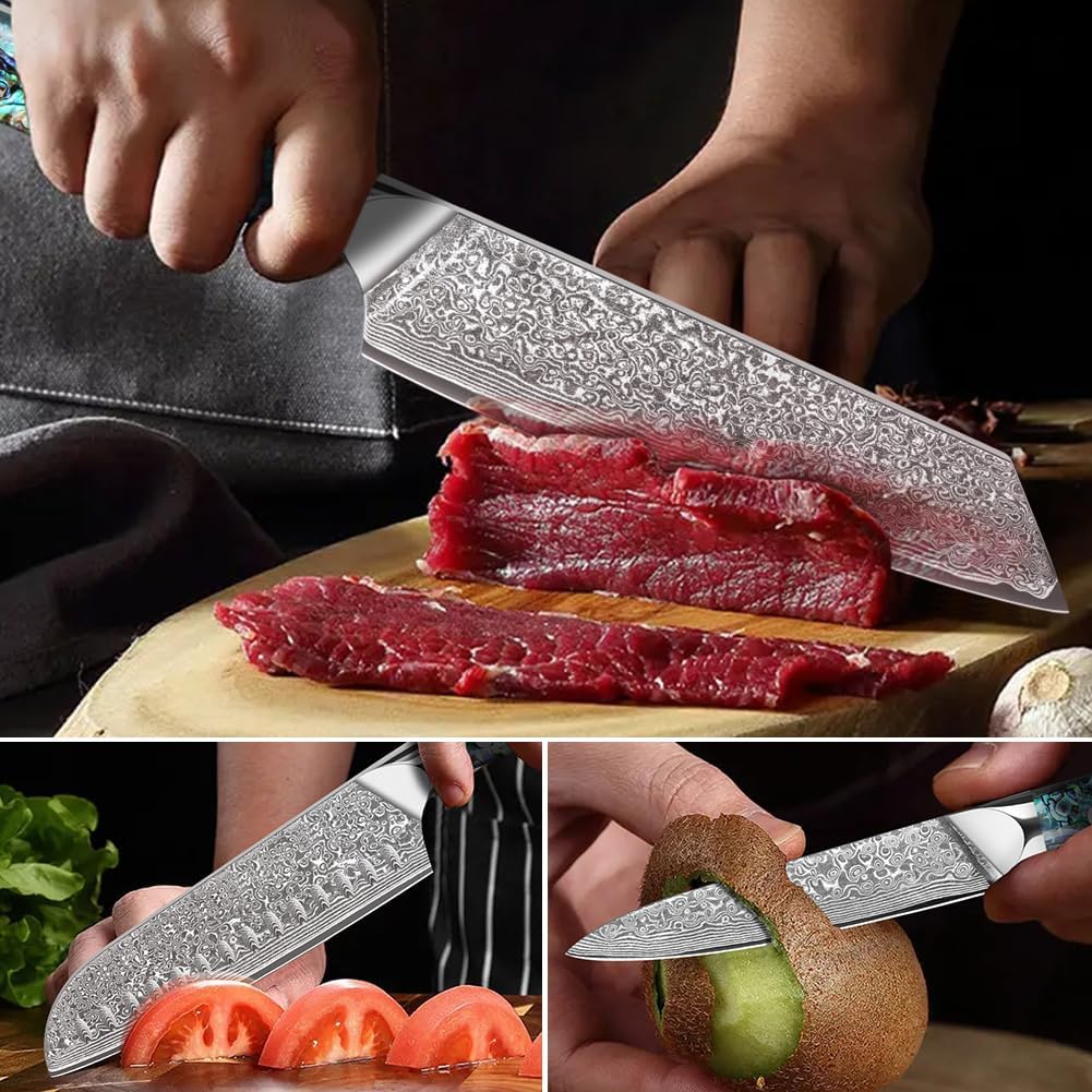 Home Safety Damascus Knife Set of 3, 12.4-19cm Chef's Knife Set Made of 67 Layers of VG-10 Damascus Steel, Santoku Knifves, Kiritsuke Knife with Ergonomic Abalone Shell Handle, Gift Box