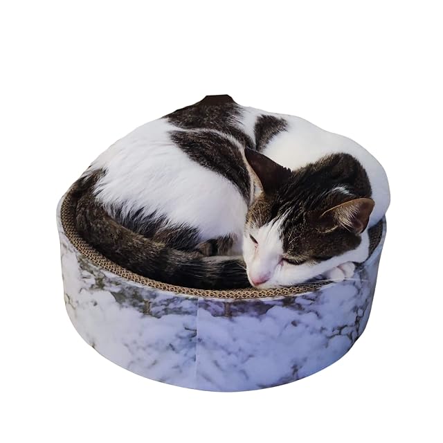 Foto 3 de 8 de WANEKA® Rascador para Gato de 35cm de Diámetro Con Hierba Gatera I Cartón I Juguetes y Accesorios