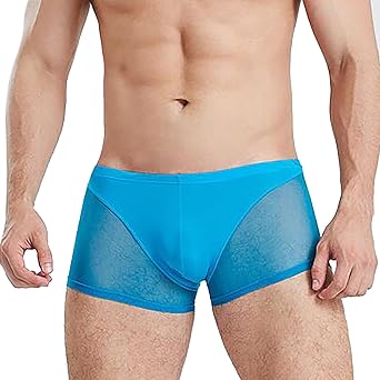 Mens Mesh Sheer Underwear Sexy Low Rise Boxer Briefs Elastic Thin Shorts
