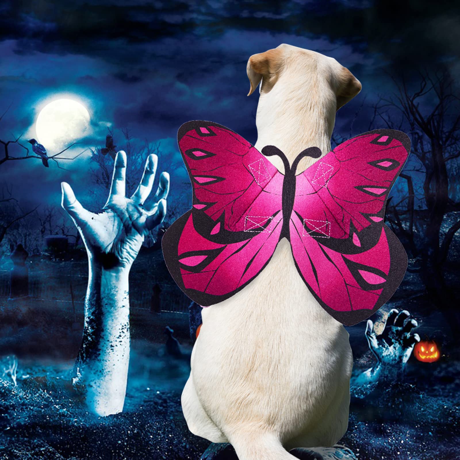 Butterfly Wings for Dogs & Cats - Halloween & Christmas Costume, Small to Large Sizes