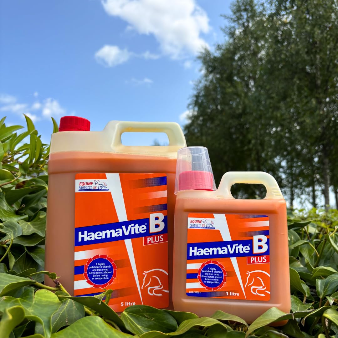 Haemavite B Plus Liquid Supplement for Horses 1 Litre