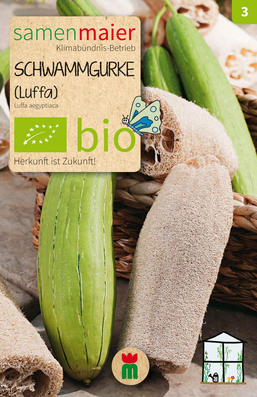BIO Schwammgurke Luffa Samen - Hochwertiges BIO Saatgut fr kologischen  Anbau - Erntezeit Juni bis September - Reicht fr ca. 5 Pflanzen - Samen  Maier : Amazon.de: Kosmetik