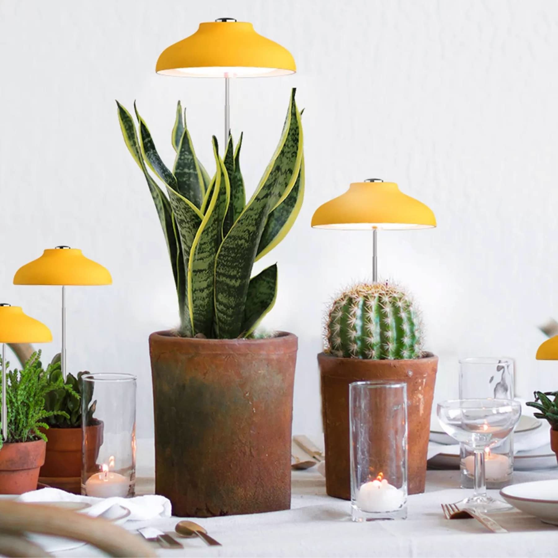 Egle lampada per piante - luce led crescita piante da interno - lampada led spettro completo con altezza regolabile e timer automatico (5W, 3500K, 240 Lumen, USB, 1.5A/5V) eco-friendly (Yellow)