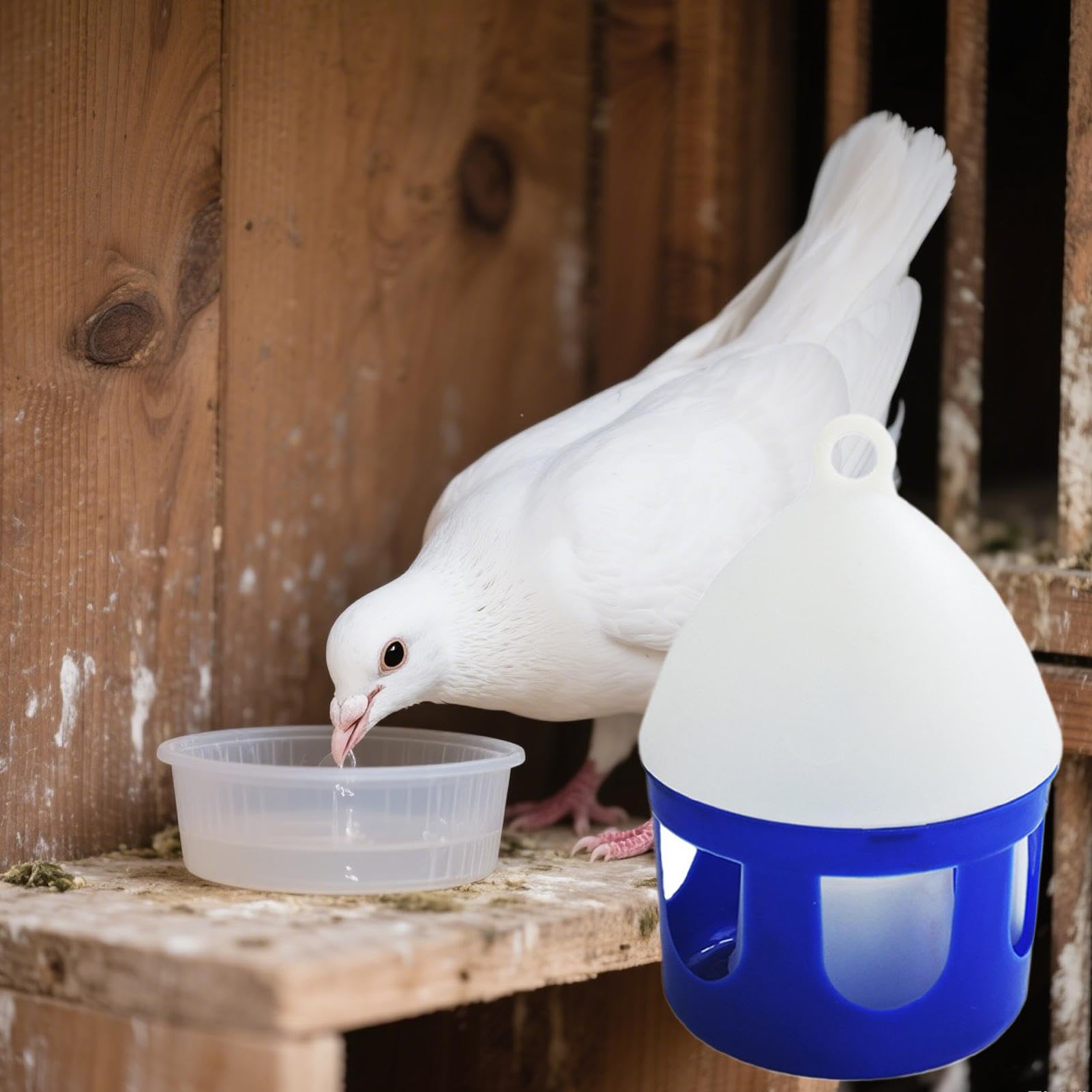 Abreuvoir pour Pigeons | Fontaine à Eau pour Oiseaux 2 litres - Antifuite Amovible pour Élevage Volailles Extérieur Cage Oiseaux Canards Caille