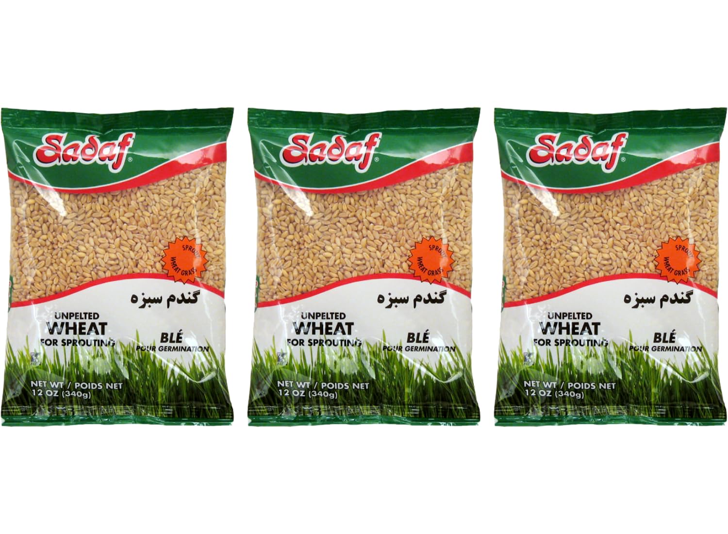 Sadaf Unpelted Wheat - Sabzeh Sprouting Wheat - Germinado de Trigo - Kosher- 12 oz Bags (Pack of 3)