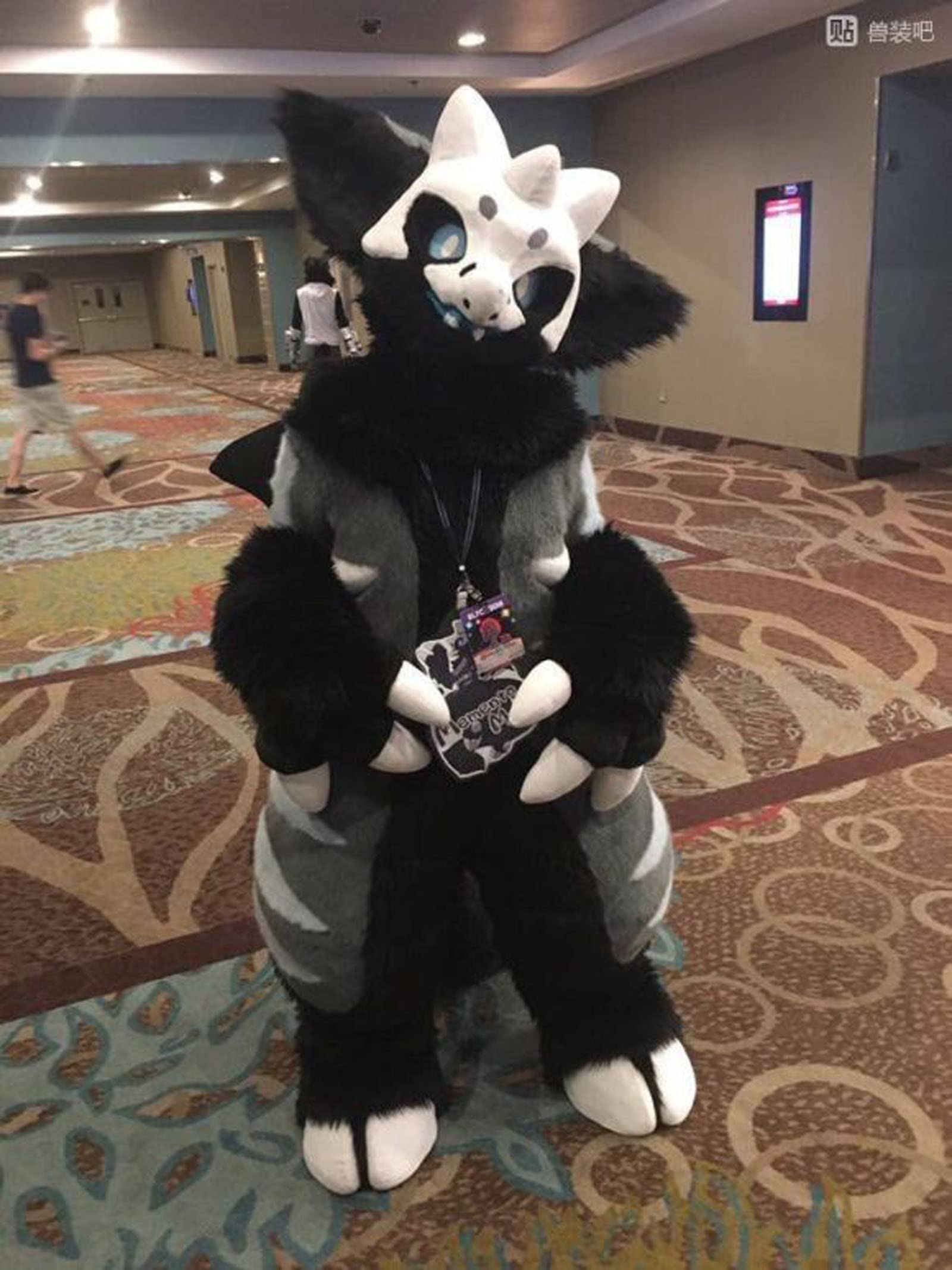 Buy Japan Black Horn Dragon Cat Huksy Dog Fursuit Teen Costumes Child