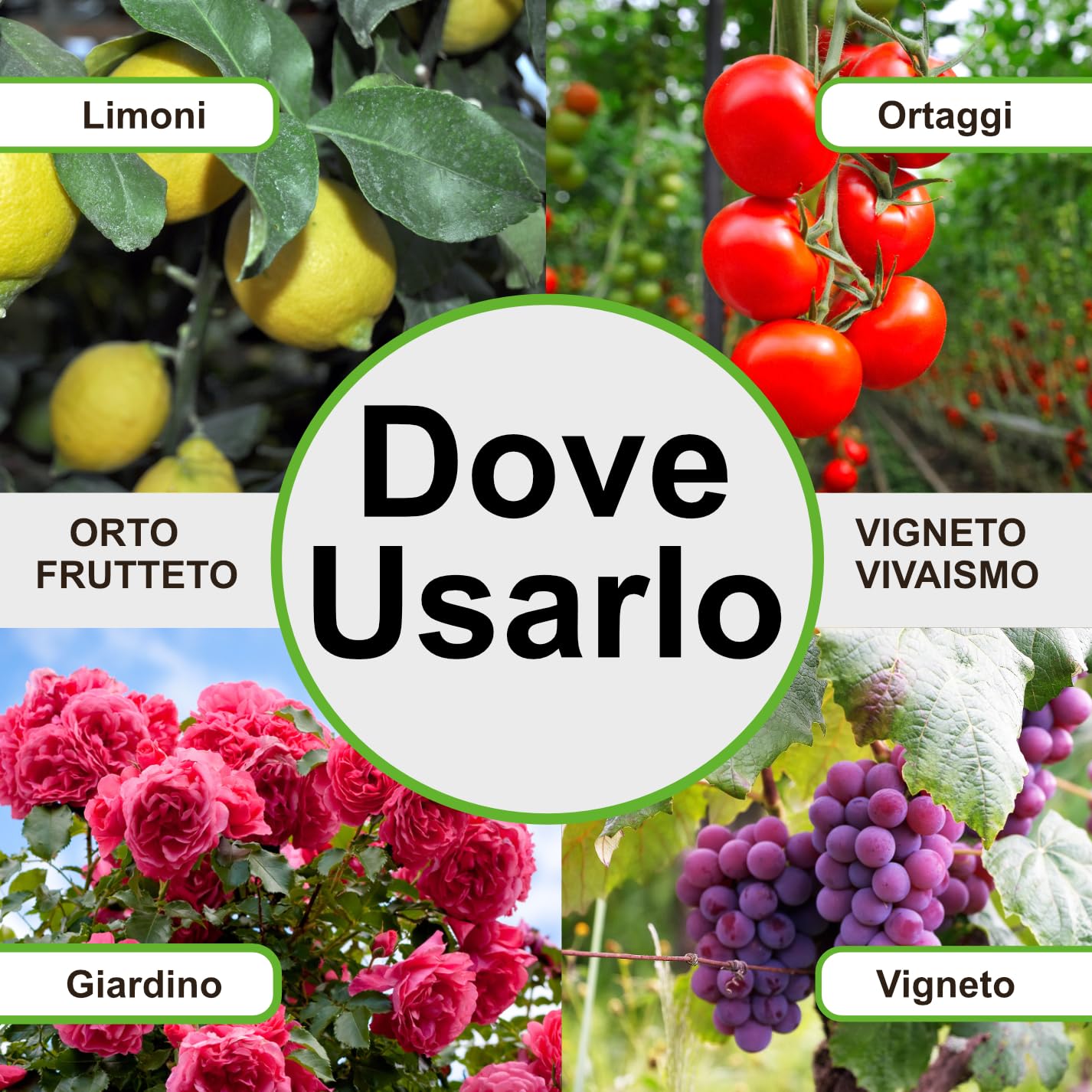 Antika Officina Botanika Zeolite Chabasite M5 6 kg Barriera Protettiva Insetti Fitofagi Attacchi Fungini BIO
