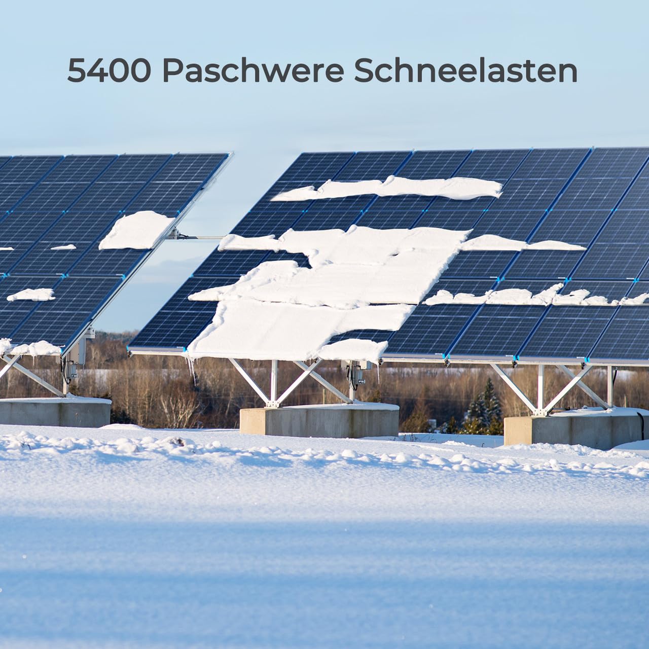 Renogy Pannello solare bifacciale monocristallino, 115 W, 12 V, modulo solare ad alte prestazioni per batterie da 12 V, camper, casa, balcone, barche, tetti agricoli e applicazioni indipendenti dalla