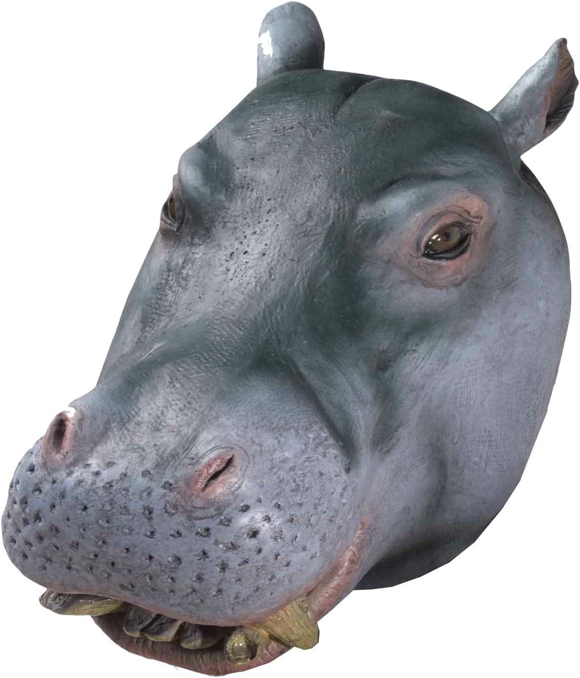 Rubies Hippo Overhead Latex Mask for Adults, No Size