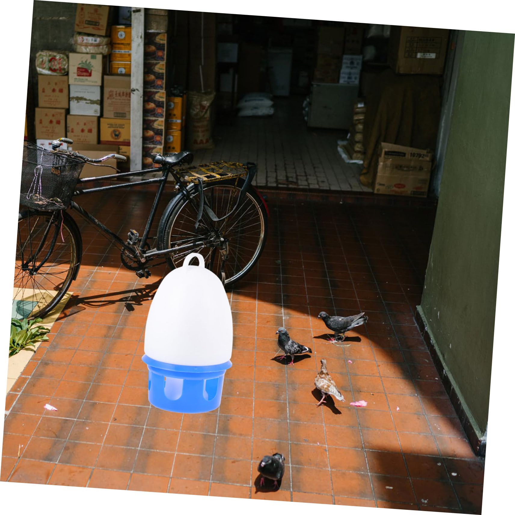 minkissy 1 Bouilloire pour Pigeons pour Oiseaux - Distributeur d'eau pour Pigeons - Distributeur d'eau pour s - pour Oiseaux - Distributeur de Nourriture pour