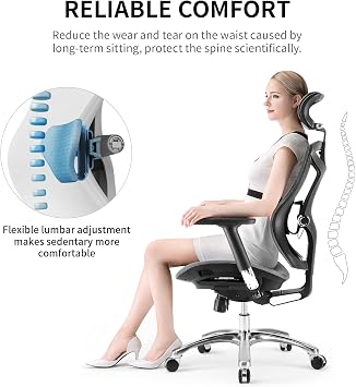 SIHOO Ergonomic Office Chair with 4D Arms, 2-Way Lumbar Support, Depth Adjustable Seat, PU Headrest, Height Adjustable Backrest, High Back Computer Desk Chair (Grey)