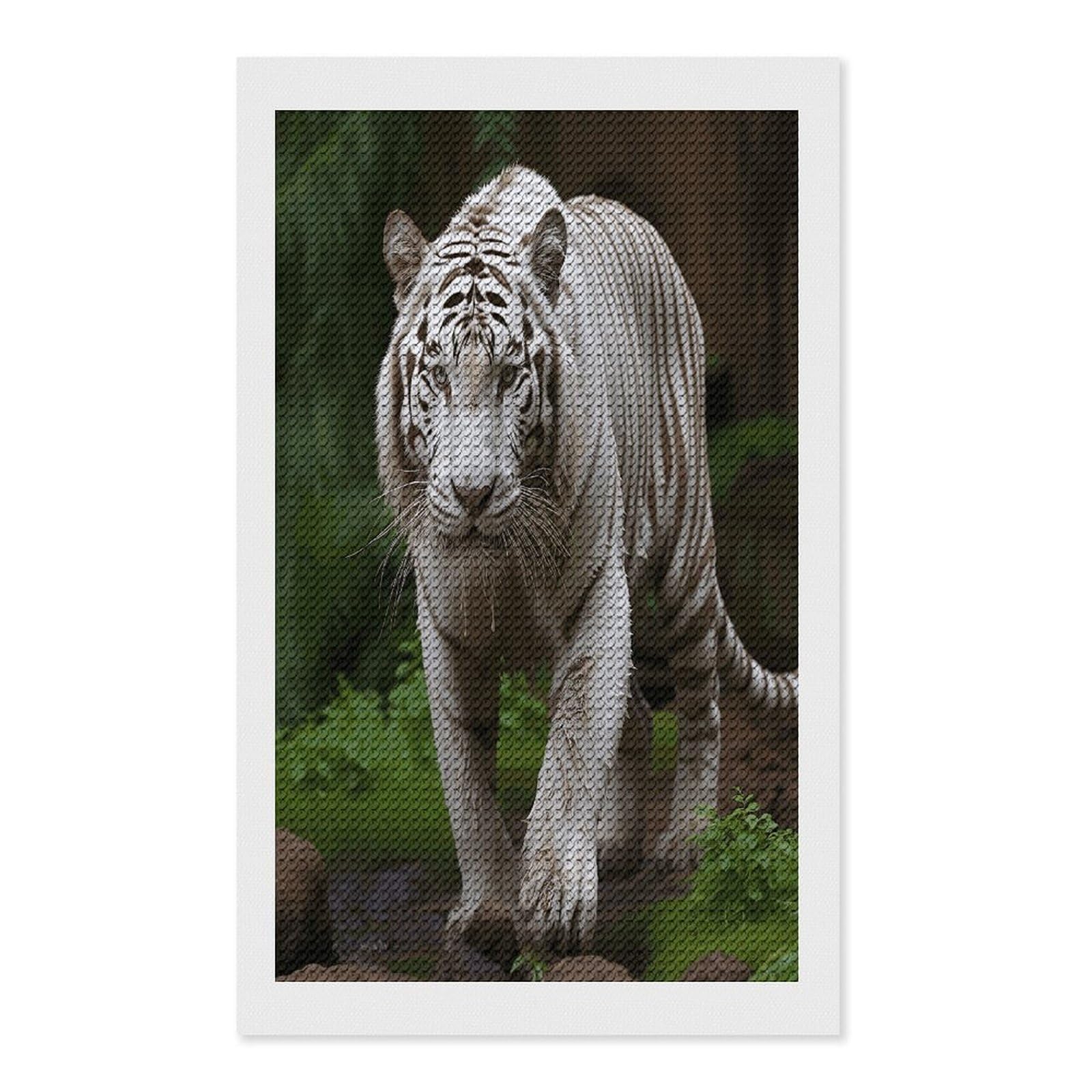 VstaDank Majestic White Bengal Tiger Diamond Painting Kits Exquisite DIY Full Round Drill Diamond Dots Painting for Adults Beginner Diamond Photo Paint with Diamond Picture Art Wall Decor 12"x20"