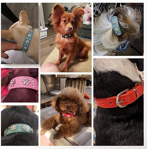 Miniatura 2 de Collar de perro con flores de diamantes de imitación, collar de cuero brillante para mascotas, para perros pequeños y medianos (rojo XS)
