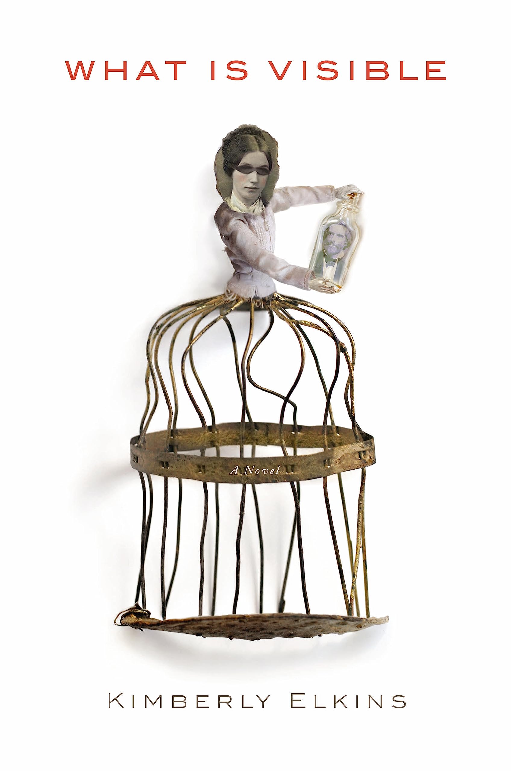 What is Visible: A Novel