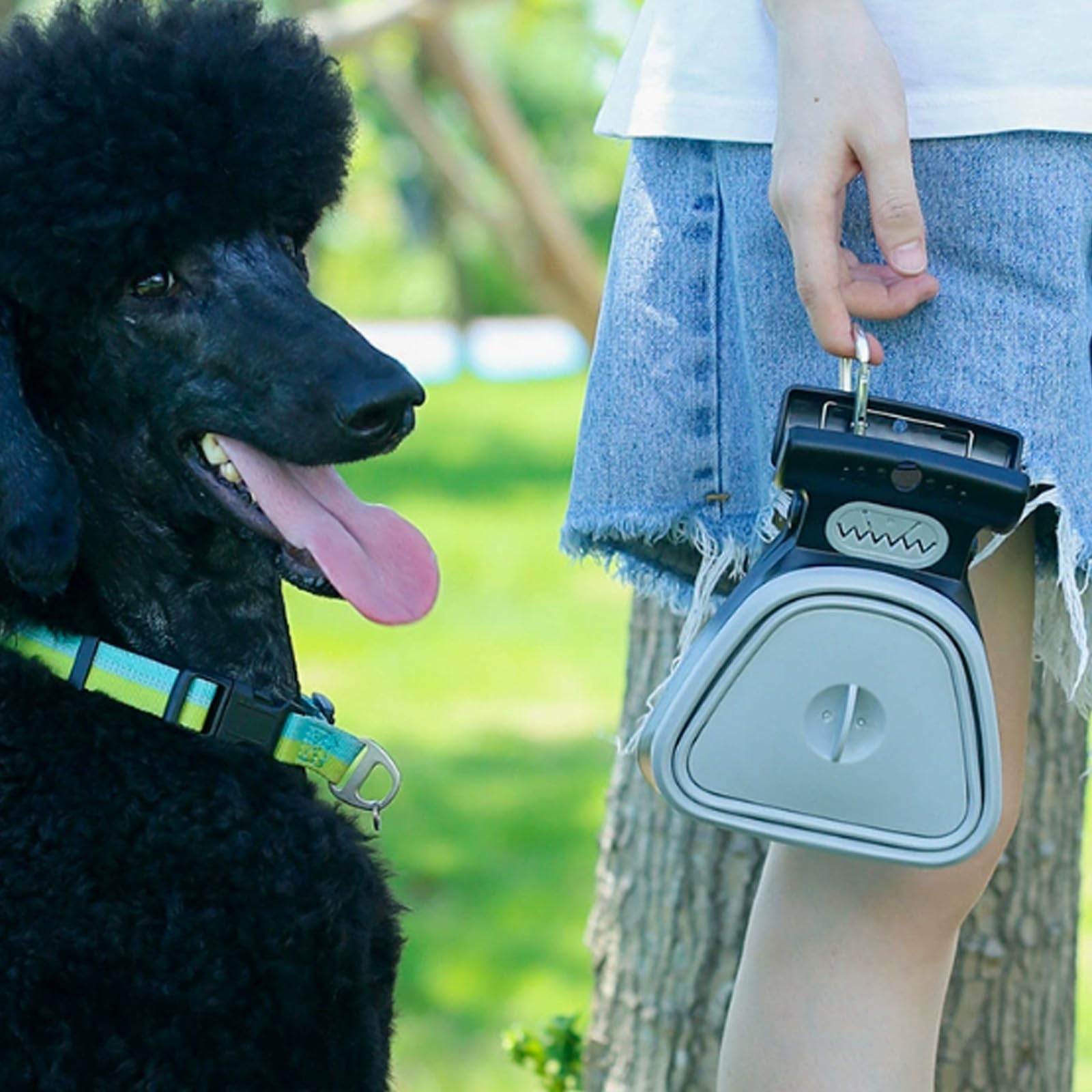 Chien Pooper Scooper Portable Pet Scoop Déchets Ramasser Clean-Up Pliable Nettoyant Sanitaire Extensible avec Distributeur de Sacs pour Chiens Animaux de Compagnie