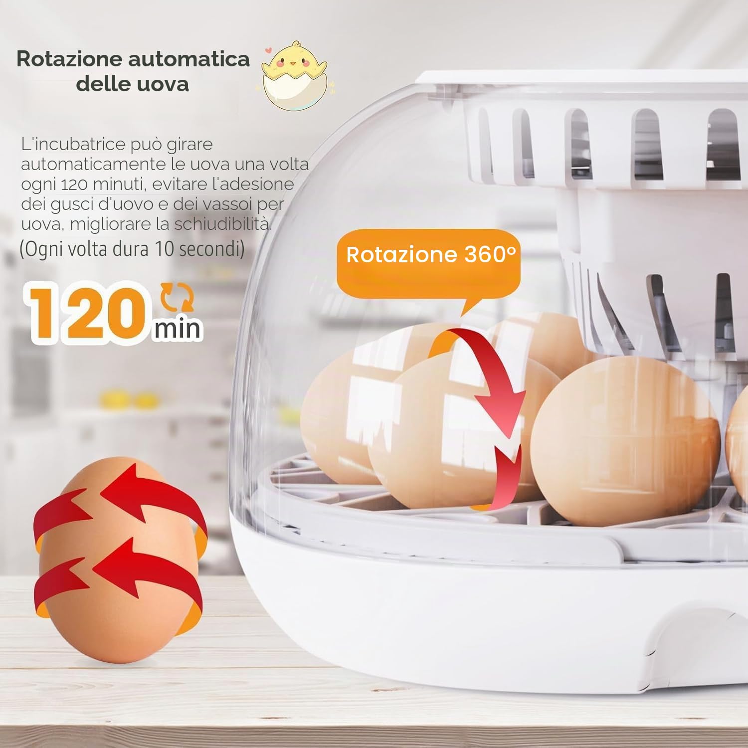 Incubatrici per uova da cova, incubatrice 12 uova con rotazione automatica delle uova e controllo dell'umidità, aggiunta automatica dell'acqua, speratura delle uova a LED, per la cova di uova di pollo