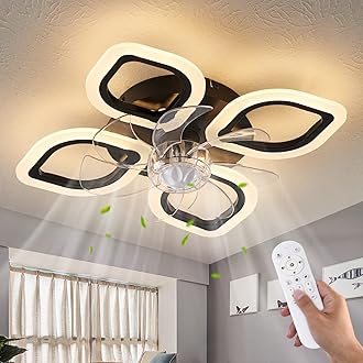 Ceiling Fans with Lights