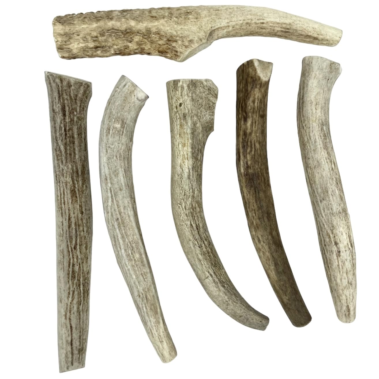 Deer Antler Chews for Small Dogs 6 Pack- 4 to 7 inches - Dog Bone for Teething and Chewing - Organic, Odorless, Naturally Shed, USA