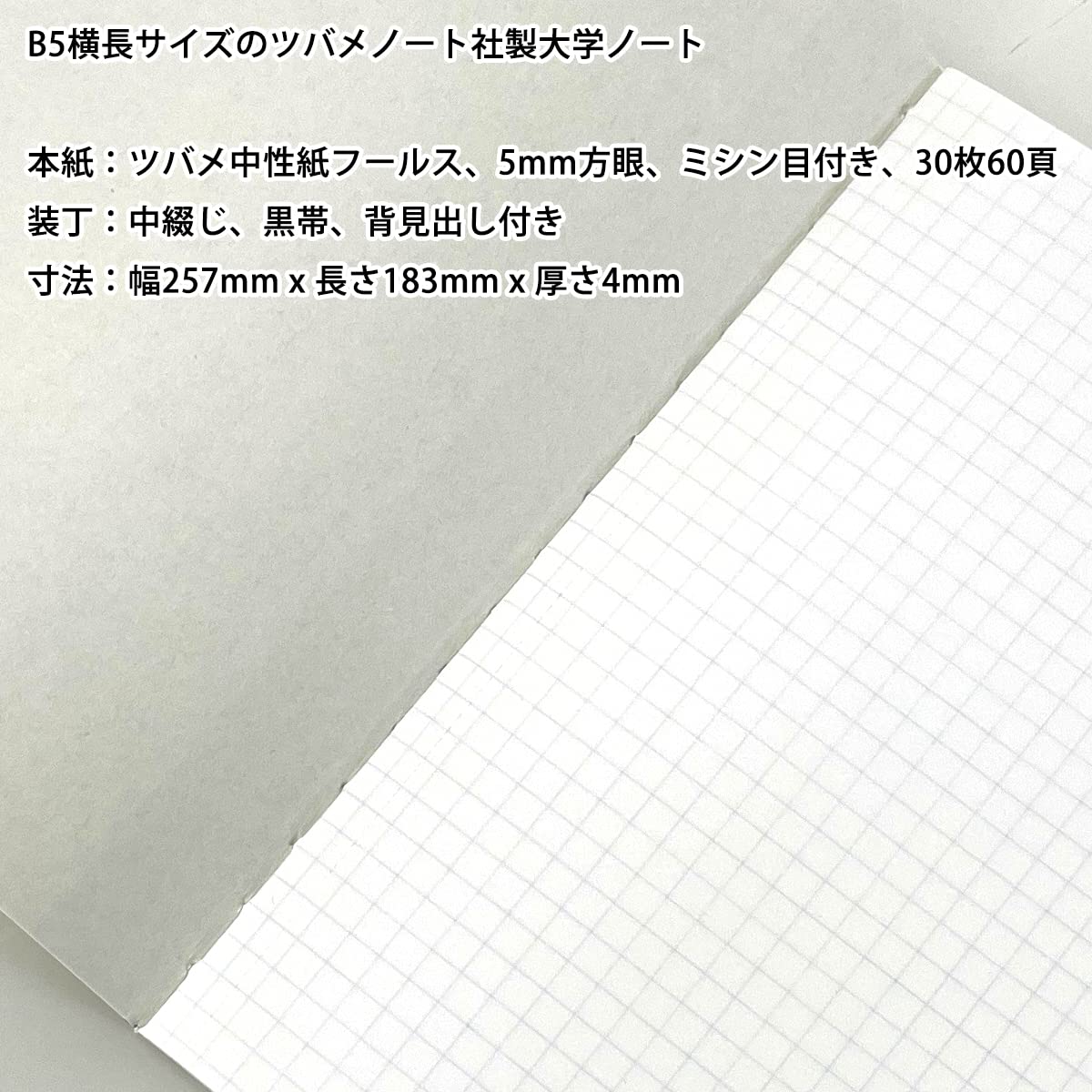 Amazon | ReUdo Thinking Power Notebook メトロポリタン（B5ノート