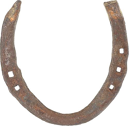 Wonder Care Horseshoe Authentic Used Horseshoe Good Luck Charm Rustic
