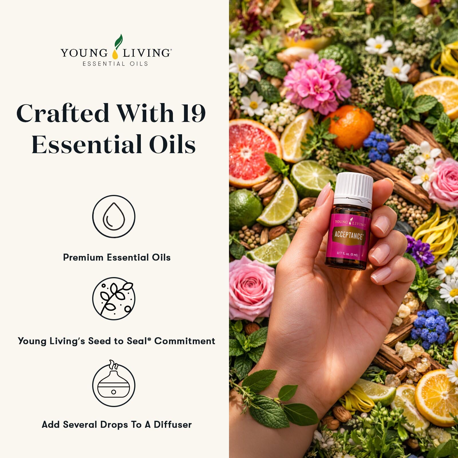 Amazon.com: Young Living Acceptance Essential Oil Blend | 5 ml