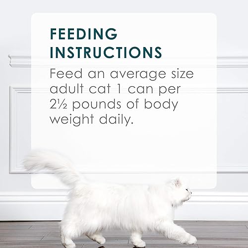 Miniatura 3 de Purina Fancy Feast - Comida para gatos húmeda, en salsa, enlatada y grillada