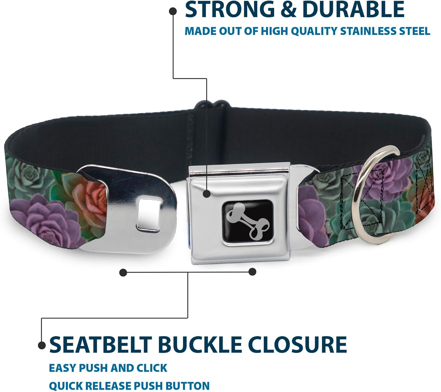 Dog Collar Seatbelt Buckle Succulents Stacked Green Pink Orange 11 to 17 Inches 1.0 Inch Wide