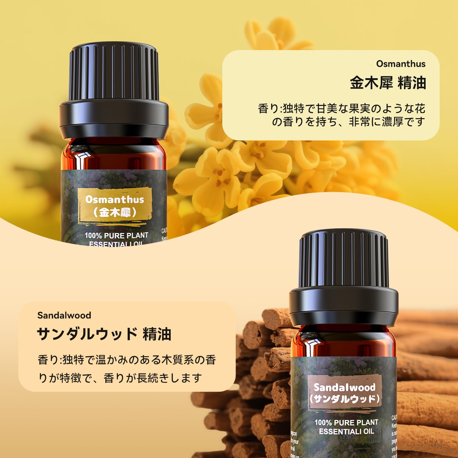 Amazon.co.jp: アロマオイル 6種セット ナチュラル 精油