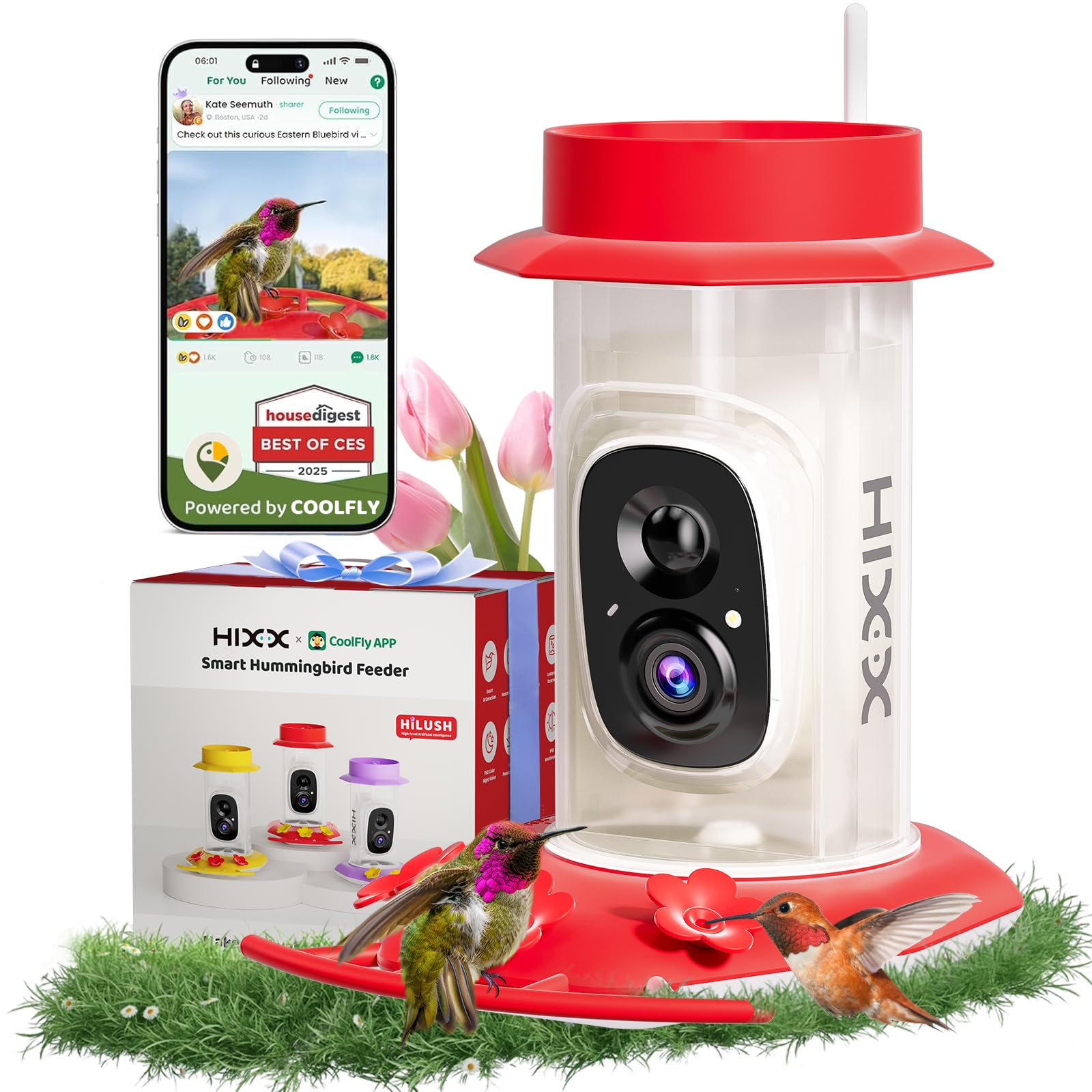 Amazon.com: HIXX Smart Hummingbird Feeder with Camera Solar