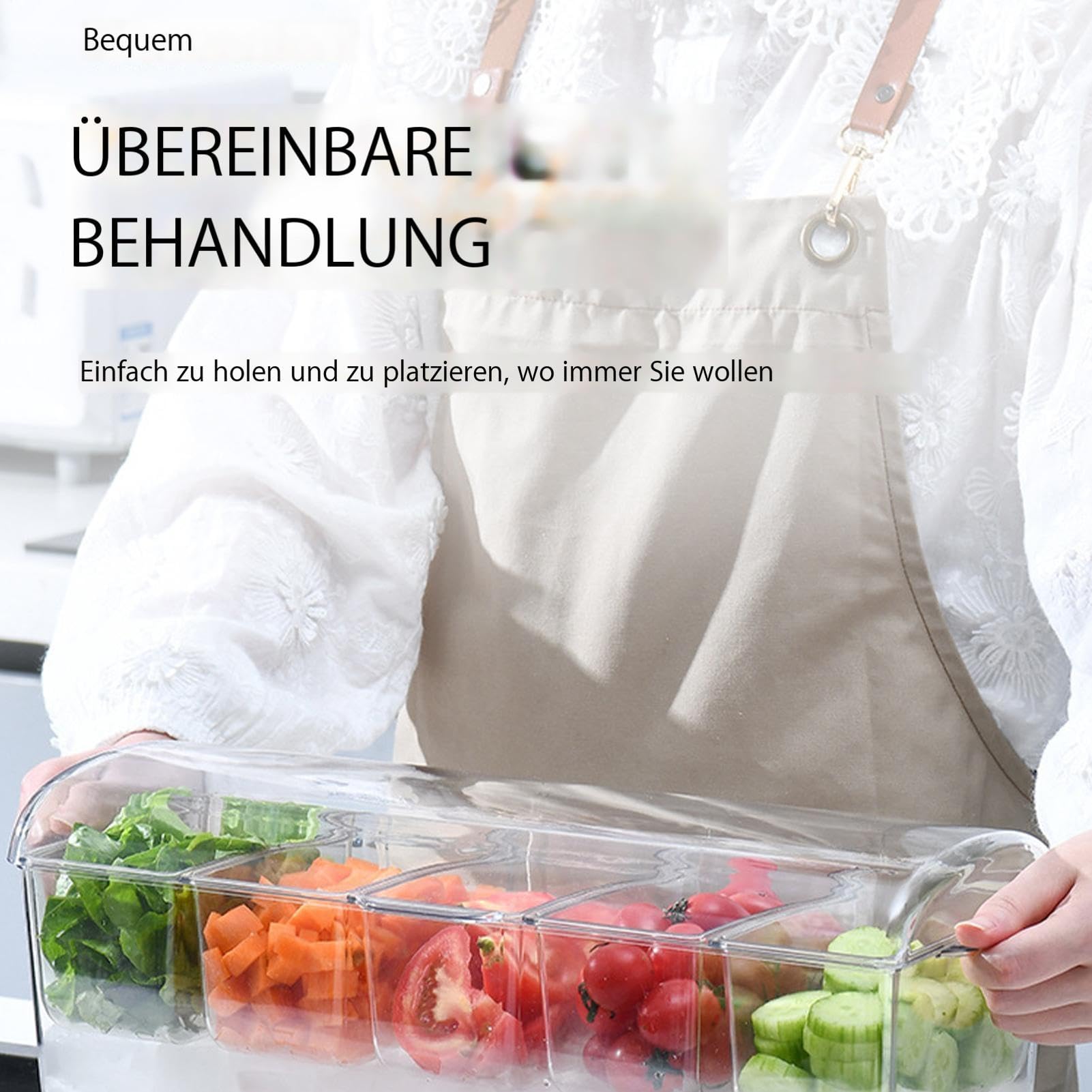 1/2 Stück Ice Chilled Condiment Holder Container Caddies Server Tray with 5 Compartments & Lid | BBQ Container with Lid, Ice Cubes,5 Compartments for Bar Lemons,Fruit,Olive and Cocktail