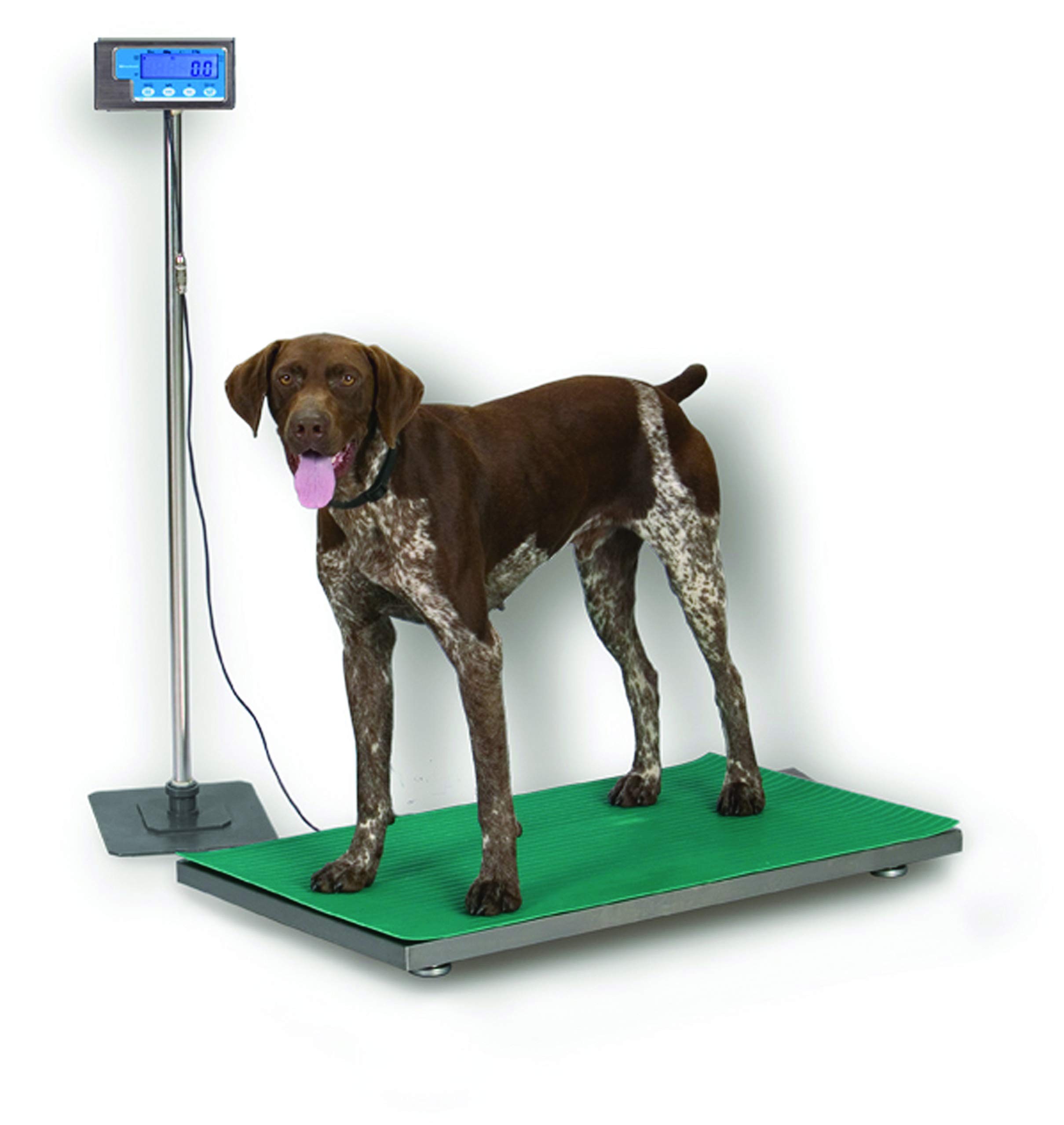 Optima Scales OPH-Z30 High Capacity Precision Balance - 30kg x 0.1g