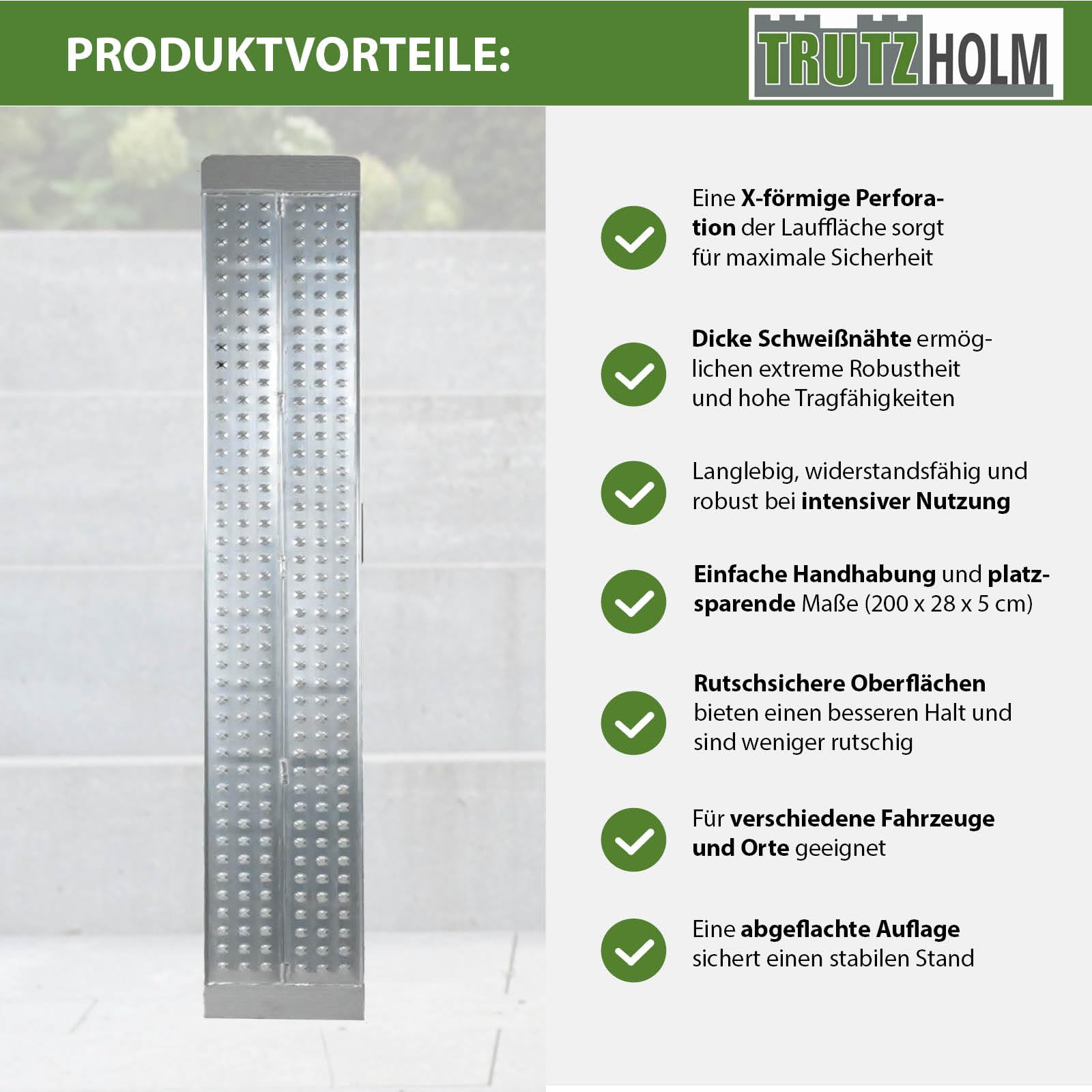 TRUTZHOLM 1x Auffahrrampe Aluminium Traglast 270 kg Länge 200 cm | gelochte rutschfeste Lauffläche Verladerampe Motorradrampe starr Laufflächenbreite 28 cm inkl. Spanngurt
