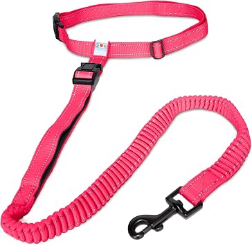 Pawtitas Hands Free Dog Leash Running Leash for Dogs Create A Pet Exercise Routine with The Dog Running Leash Hands Free Enjoy The Walking Or Jogging Accessory Bungee Dog Leash Pink Dog Leash