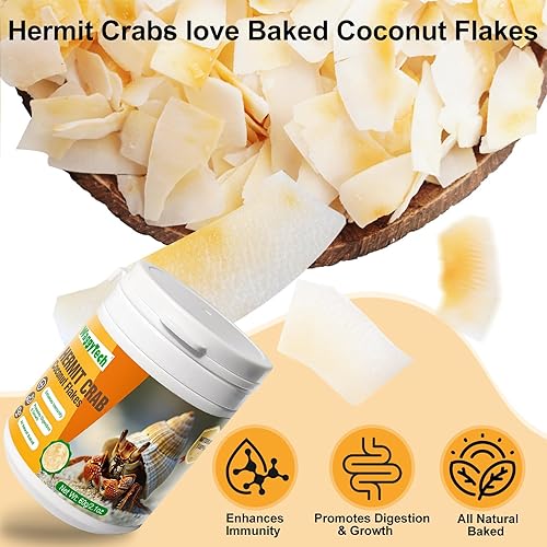 Hermit Crab Food - Baked Coconut Treat, Natural Dried Coconut for Crab Healthy & Additive Free, Easily Digestible Hermit Food Hermit - Ideal Crab Pet Snacks, Crispy & Delicious | 60g (Big)(2.1 Ounce (Pack of 1))