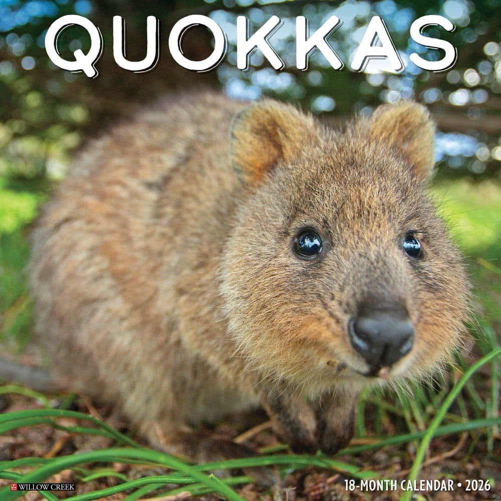 Quokkas 2026 Wall Calendar