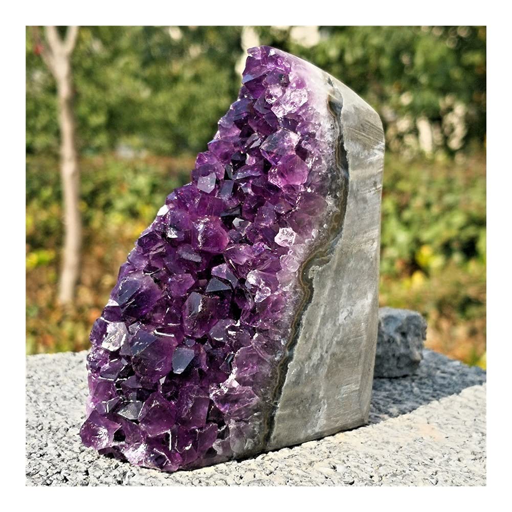 FUERLI Espécimen de Cristal de racimo de Cuarzo de geoda de Amatista Natural de artesanías de Piedra FZUGEDRLI (Size : 300g)