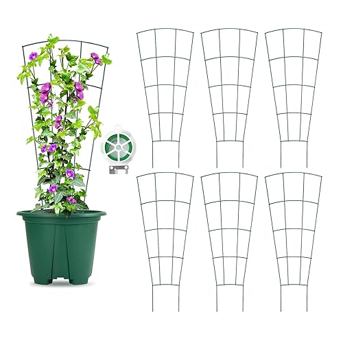 6-Pack Indoor Plant Trellis - 24 Inches, Heavy-Duty Metal for