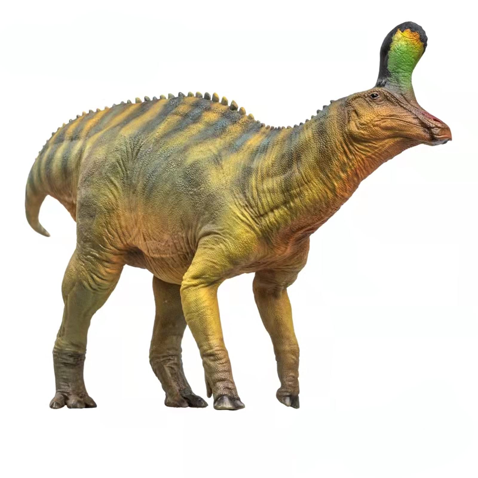 Dinosaures Tsintaosaurus AMITD statuette décorative de salon pour passionné de nature