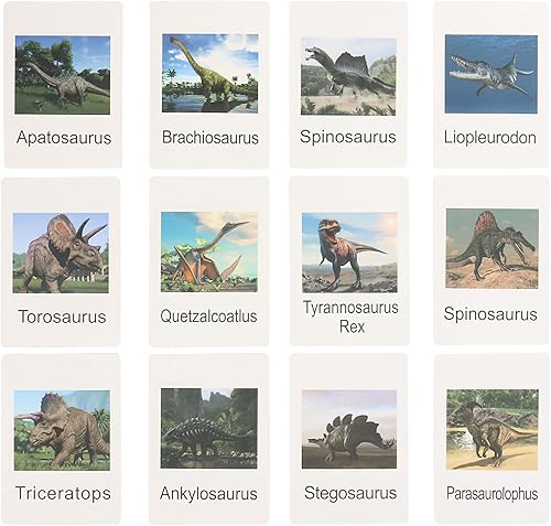 Miniatura 4 de MIKNEKE Mini figuras de dinosaurio con tarjetas flash, figuras de animales realistas, materiales Montessori, educación en casa, preescolar, ciencia,