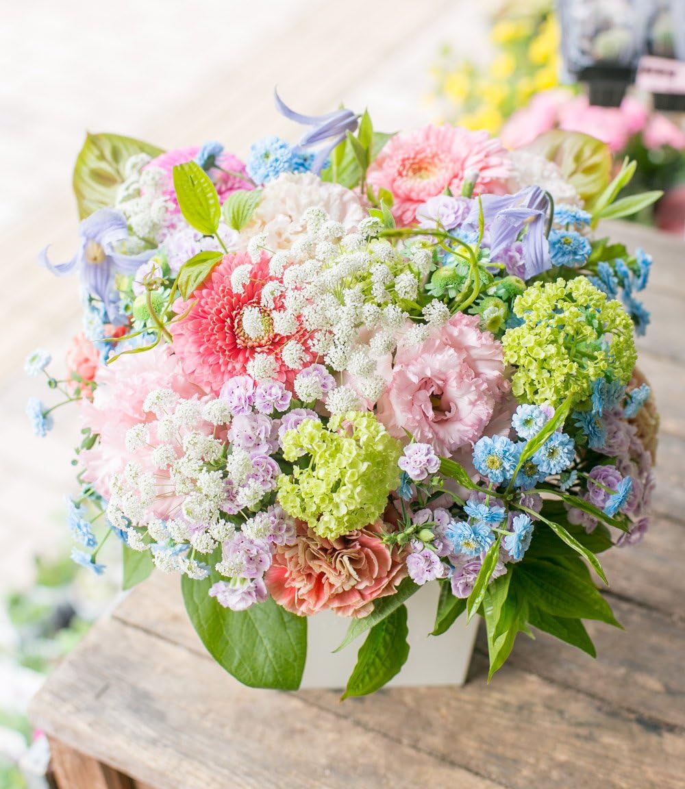 Amazon アレンジメントフラワー 生花 ギフト Lサイズ イメージ 可愛い 大臣賞受賞デザイナー おまかせアレンジメント フラワーアレンジメント オンライン通販