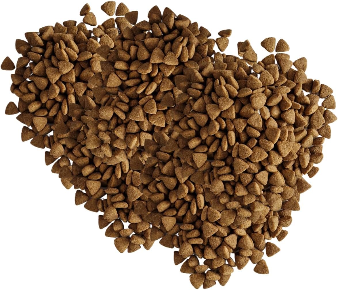 Empire Prime - Alimento para perros monoproteína de 12 kg para cachorros y perros jóvenes de razas pequeñas y medianas, cordero fresco, hipoalergénico, sin pollo, sin gluten, natural