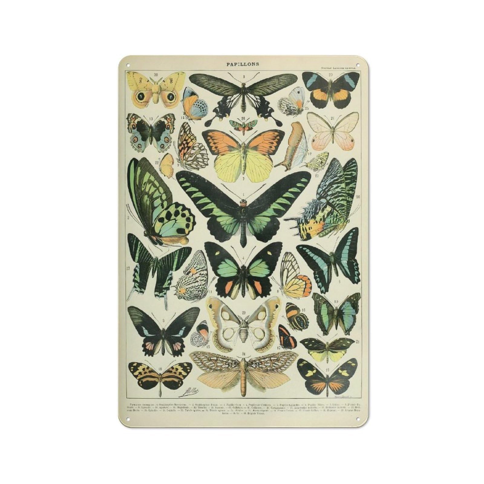 Rustic Butterfly Chart Rustic Tin Sign 30x20cm, Porch Wall Decor for Greenhouse, Garden Room, Cafe Or Entryway
