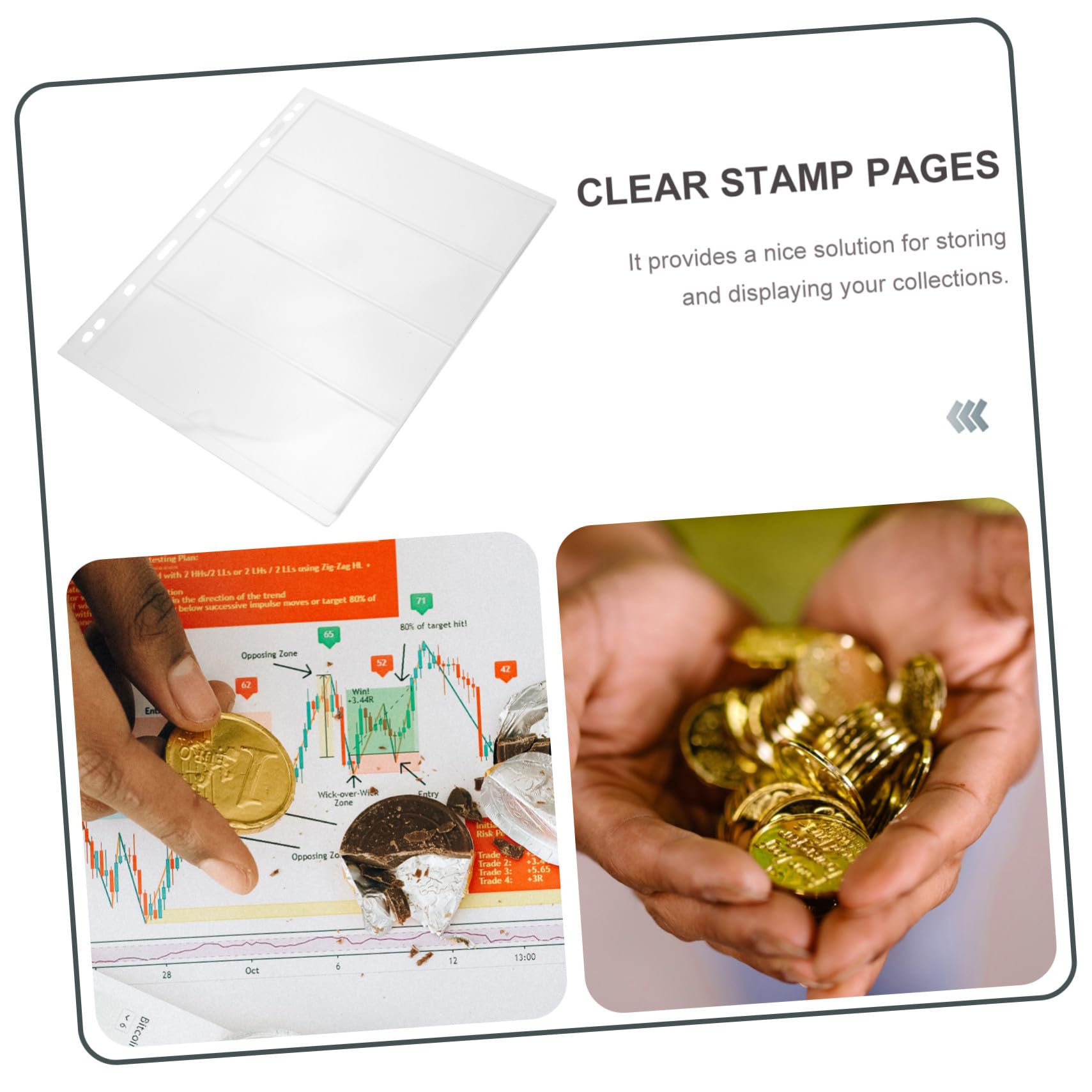 Fogli per Collezione Banconote 20 Fogli Pvc, Pagine 9 Fori | Raccoglitore Standard, Trasparenza Singola 4 Righe, Organizzazione e Protezione da Polvere
