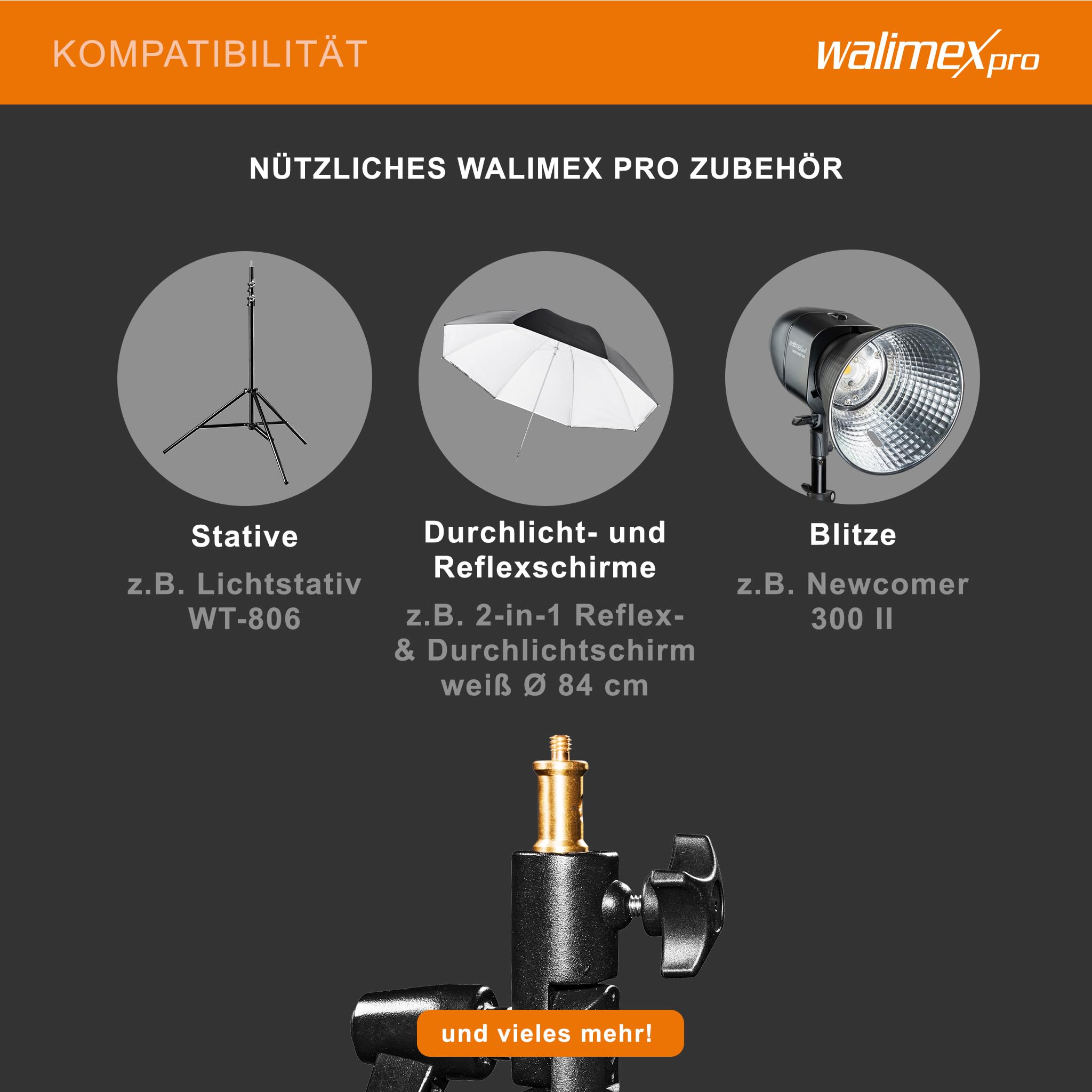 Walimex Pro Porte-Parapluie inclinable avec Fixation Spigot Noir