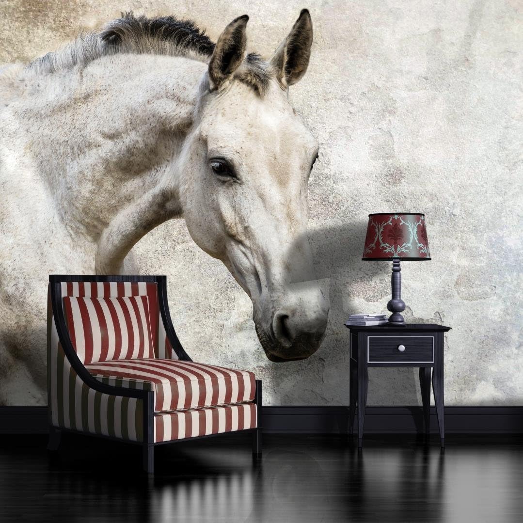White Horse Wallpaper Mural : Amazon.co.uk: DIY & Tools